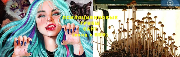 дурь Белоозёрский