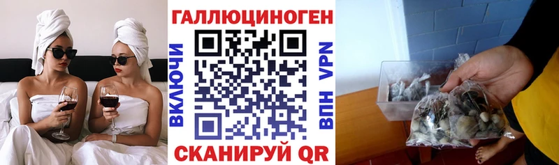 Галлюциногенные грибы Psilocybe  это телеграм  Брюховецкая 